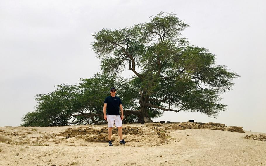 Stars and Stripes reporter Joshua Karsten poses in front of the Tree of Life, a 400-year-old tree with no known water source, on a quiet day in the Southern Governate of Bahrain on May 11, 2019. The Southern Governate is home to Bahrain?s more arid and less-populated landscapes, perfect for off-roaders looking to escape the city.