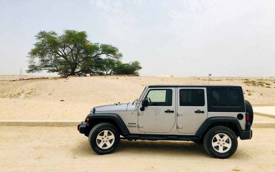 A 4X4 Jeep Wrangler is parked in front of the Tree of Life, a 400-year-old tree with no known water source, on a quiet day in the Southern Governate of Bahrain on May 11, 2019.