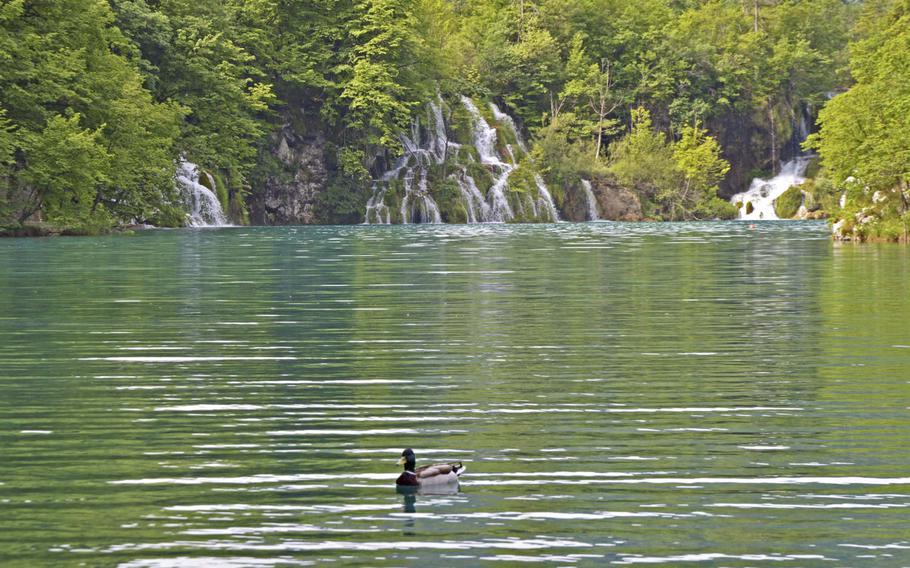 Plitvice Lakes National Park was declared Croatia’s first national park on April 8, 1949, and was added to the UNESCO World Heritage Site list in October 1979. The lake system was formed over thousands of years by water flowing over limestone and chalk, depositing travertine barriers that created natural dams. 
