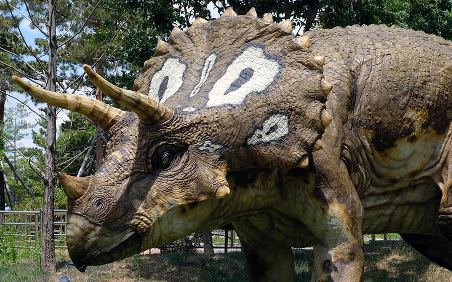 A model Triceratops, along with other dinosaurs, are displayed outside the Gwacheon National Science Museum in Gwacheon, South Korea, shown here on Tuesday, July 9, 2019.