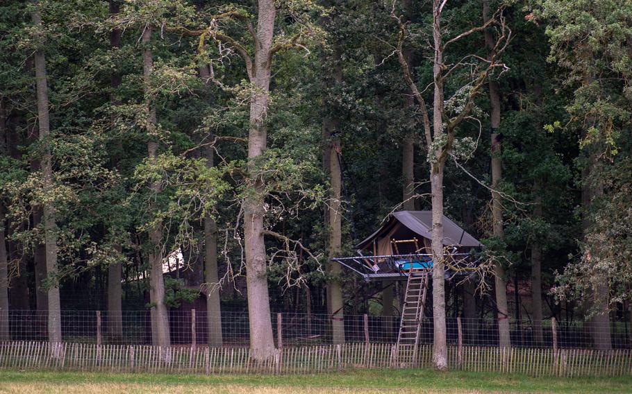 For overnight stays, you can book a treehouse inside the nature park at the the Domain of the Caves of Han, Han-sur-Lesse, Belgium. From platforms suspended between trees, you can enjoy your very own private nature show.