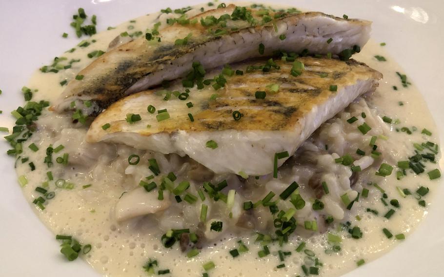 Roasted pike-perch fillet with ceps risotto in a Riesling wine sauce, as served at Hotel Monika in Buettelborn, Germany.