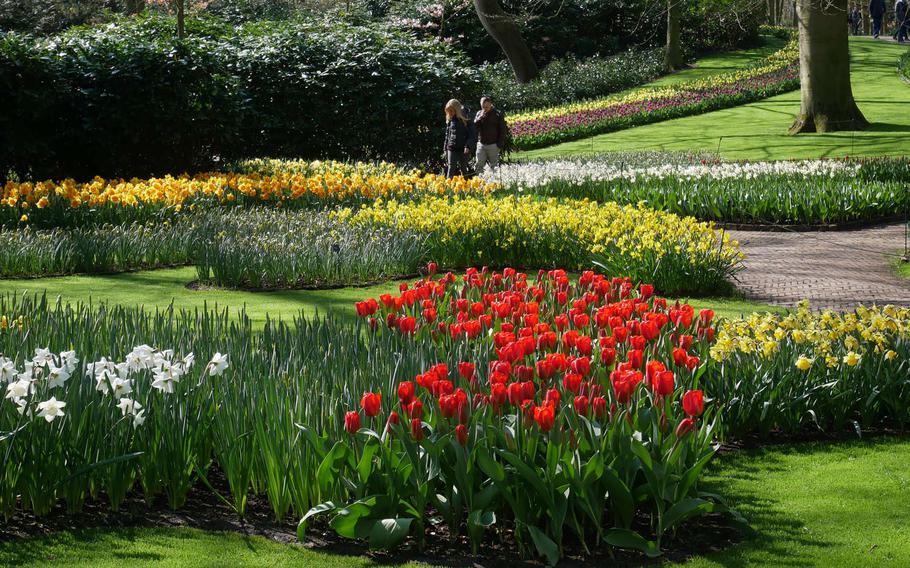 Visitors walk through the blooming flowers at Keukenhof, on the outskirts of Lisse, Netherlands. Some 7 million tulip, hyacinth and daffodil bulbs are planted each year at the flower gardens, an attraction that draws around 1 million visitors from around the world in an eight week period every spring.