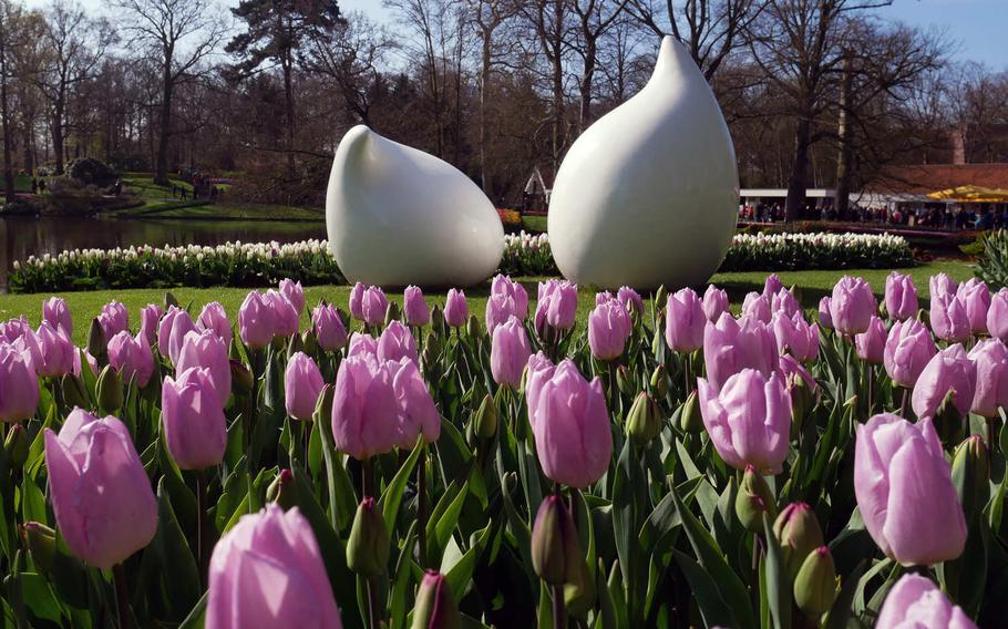 Tulips blooming at Keukenhof, with a bulb-like sculpture in between. Besides the flowers the garden is dotted with art.