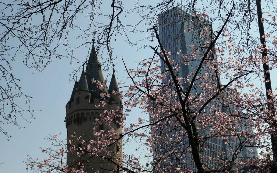 Old and new in Frankfurt am Main, Germany, seen behind blooming spring trees. At left is the Eschenheimer Tor, once part of the city's medieval fortifications, at right, the 443 foot-tall Nextower. The photo was taken from the Eschenheimer Anlage, part of the Wallanlagen, a greenbelt of parks surrounding the center of Frankfurt, north of the Main River.
