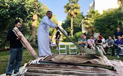 Mohammed Abdu Al-Omari rolls out a carpet during a ''rug flop'' event in Bahrain, hosted by U.S. Navy Cmdr. Joe Zerby and his wife, Jill.

