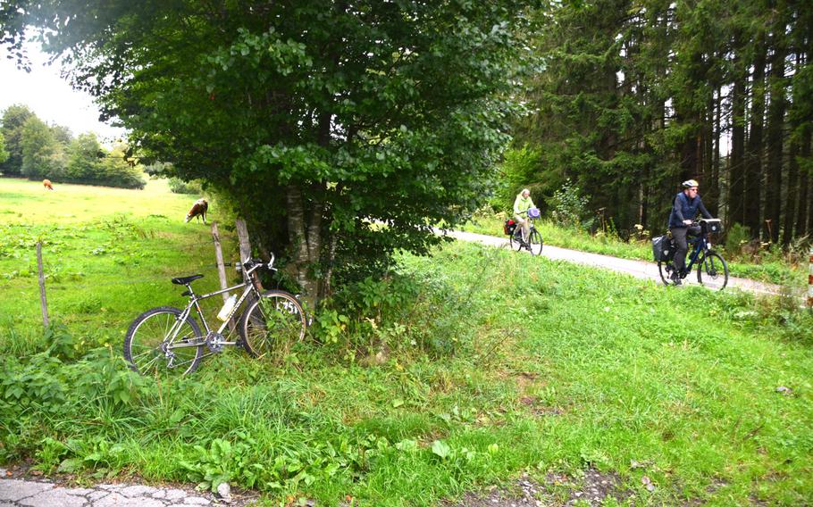 Cows on the left, cyclists on the right on the Vennbahn bike path near Monschau, Germany, on Sept. 1, 2020.  The path travels 77 miles from Aachen, Germany, to Troisvierges, Luxembourg, crossing in and out of Belgium on the way.