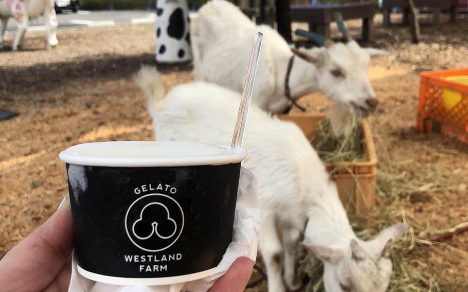 Westland Farm in western Tokyo serves gelato in a whimsical environment reminiscent of a country roadside attraction.