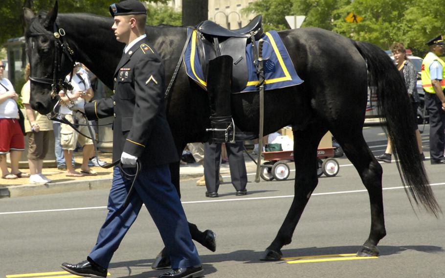 The riderless horse signifying a fallen servicemember is led down Constitution Ave. in Washington during Monday's parade.