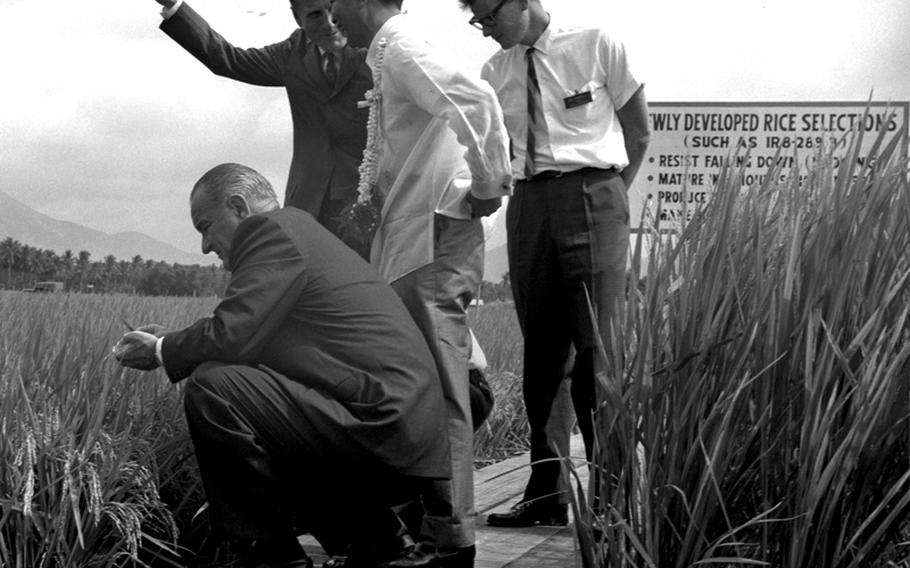 President Lyndon Johnson inspects some of the rice grown at an experimental rice paddy during a tour given by Philippine President Ferdinand Marcos during the Manila Summit.