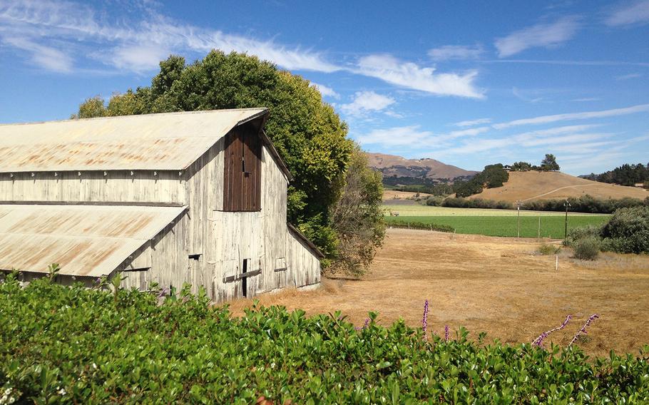 The rustic modern Kynsi Winery, where decades old farm buildings add to the charm. 