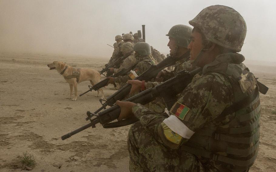 Afghan National Army and U.S. soldiers, and Taylor, a U.S. service dog trained to find explosives, wait in a security formation for the dust to clear at the start of a partnered air assault mission to the town of Mirugal Kalay, Afghanistan, Oct. 23, 2014.