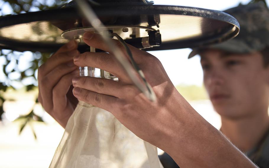 In a Feb. 5, 2016 file photo, Airman 1st Class Kyle Engle, a public health technician with the 1st Special Operations Medical Group, hangs a mosquito trap in a tree at Hurlburt Field, Fla.