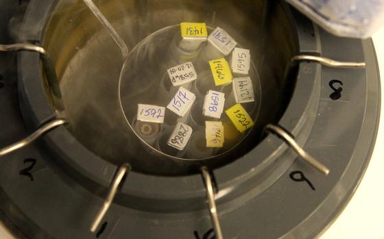 Goblet, a long tube device that contains a vitrification freezing platform for embryos and sperm in a liquid nitrogen tank, in the in vitro fertilization lab at the Reproductive Science Center in San Ramon, California, on August 22, 2013. (Jim Stevens/Bay Area News Group/MCT)
