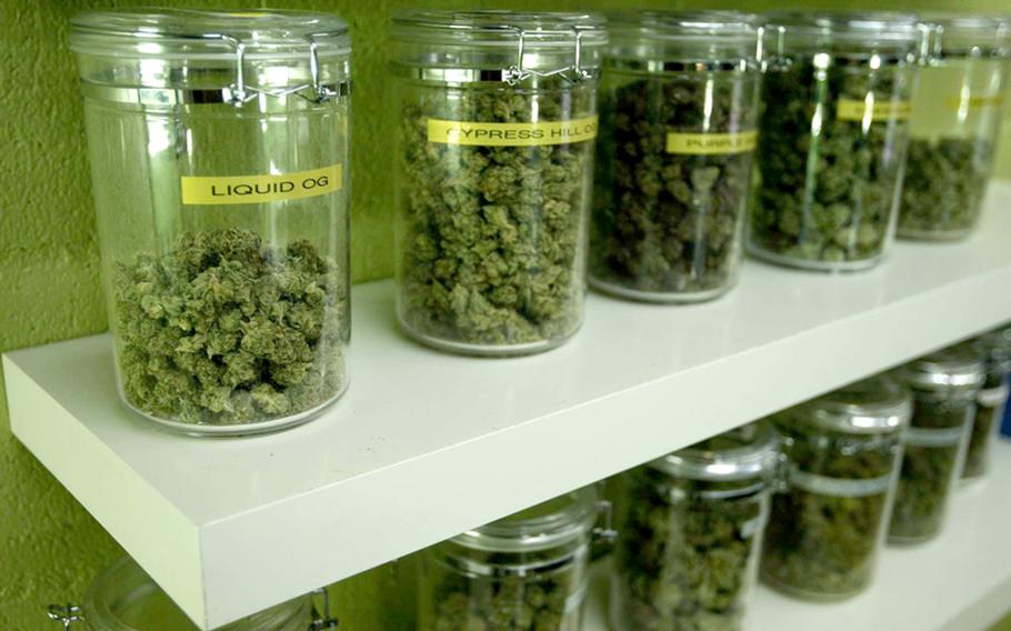 Medicinal marijuana buds are made available for patients at a medical marijuana dispensary in Long Beach, California.