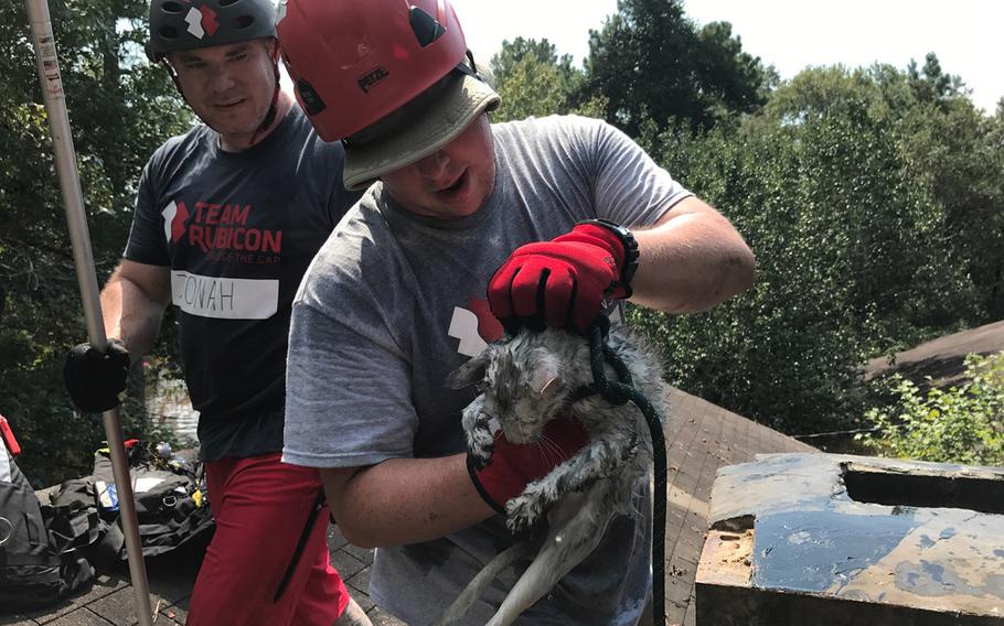 Disaster volunteer Marc Hurwitz removes the rope used to pull a cat from the chimney of a flooded house in Beaumont, Texas on Sept. 2 as fellow volunteer Jonah Thompson looks on.. Hurwitz and Thompson volunteered with Team Rubicon, a veterans organization that brings military expertise to disaster zones.