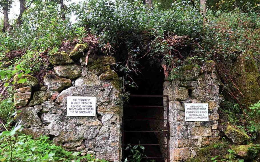 An old cellar in the ruined village of Haag, now used as a bat sanctuary, at Grafenwoehr, Germany, Sept. 1, 2017. 
                Martin Egnash/Stars and Stripes 