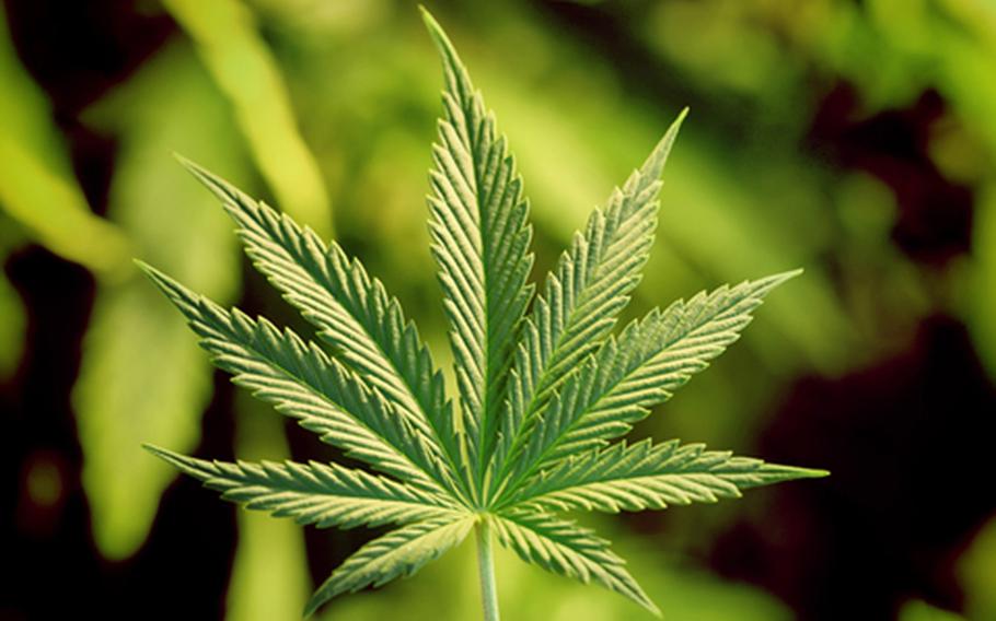 A bipartisan group of lawmakers are urging the Department of Veterans Affairs Secretary Robert Wilkie to research marijuana as a potential treatment for post-traumatic stress disorder and chronic pain.