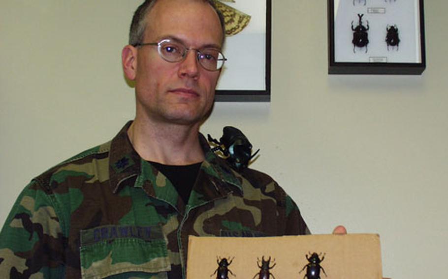 Lt. Col. Geoff Crawley has been collecting insects — mainly beetles — for the last 20 years. A radiologist at the medical center at Aviano Air Base, Italy, Crawley has come across several beetles during his stay at Aviano, including the three European stag beetles that he's holding in this picture.