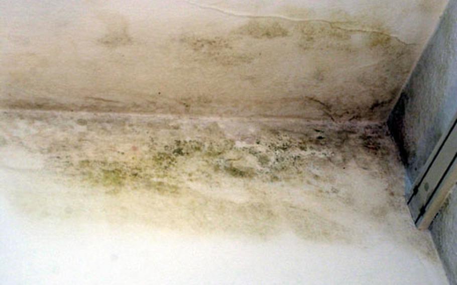 Mold stains spread out about two feet from the corner of the bedroom where the Williamsons&#39; 5-month-old son, Jaylin, slept. Every room except one in the couple’s quarters in Champion Village had mold due to water leaks.