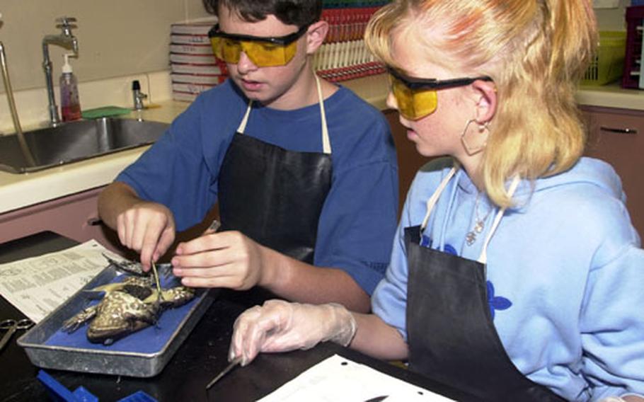 Michael Flynn McKenzie (left) and Trisha Carlile (right) take a peek inside their frog during their Lester Middle School science class. The two were among students who dissected frogs as a final activity into the study of body systems.