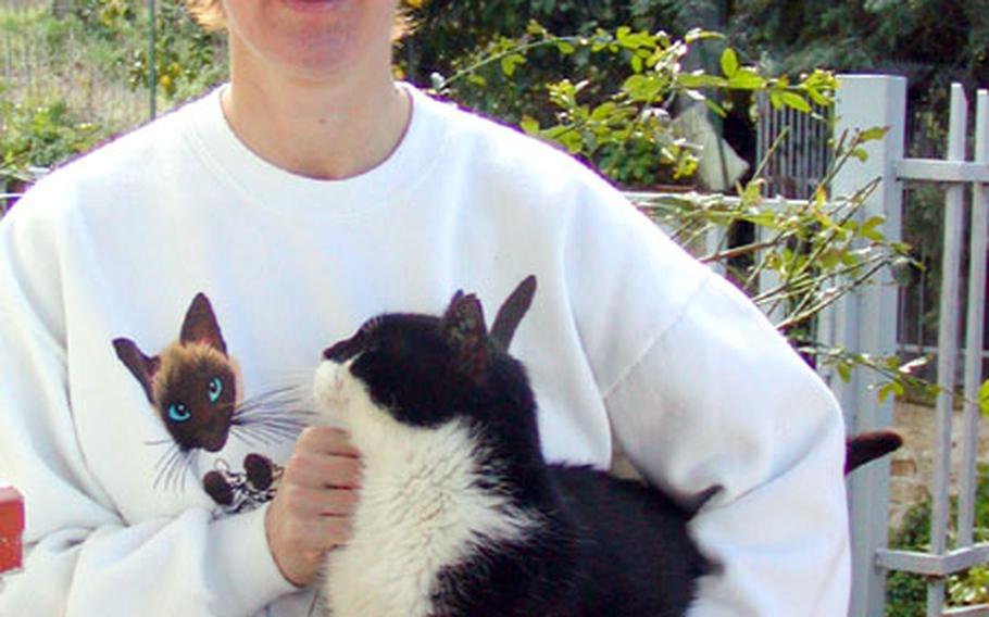 Christine Smock, founder and president of Naples Friends of Animals, plays with her oldest adopted cat, a Sicilian feline she calls Old Man of the Sea. The cat has been with Smock since her first tour of duty in Europe and now lives with her and 17 other cats on the shores of Lago Patria, Italy.