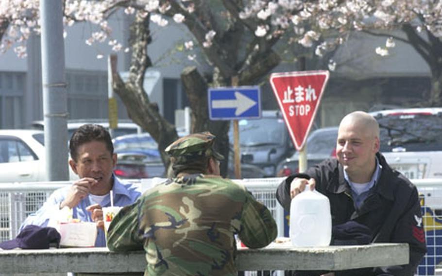 Sailors at Yokosuka Naval Base enjoy lunch under the cherry blossoms.