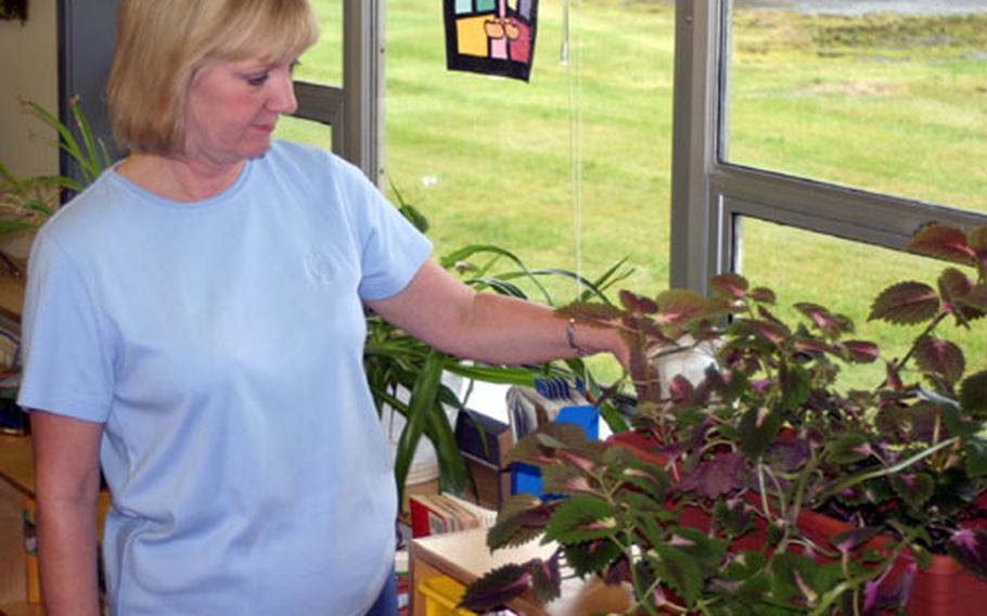 Rhonda Bennet, a third-grade teacher, waters her flowers as she puts her classroom together the week before classes begin at Naval Air Station Keflavik, Iceland.