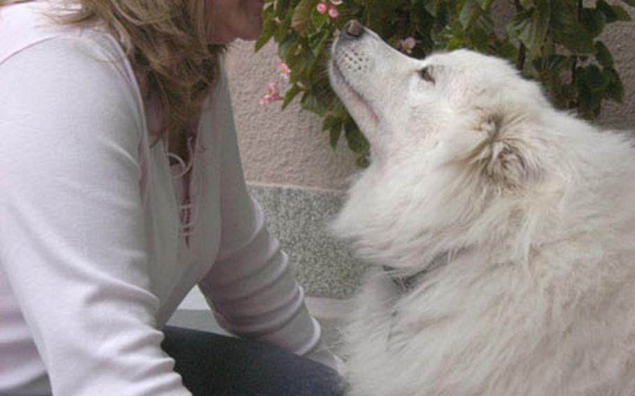 Linda Lorenzana with her friendly Samoyed, Sasha. Sasha plays with soldiers and participates in Stress Control Center pet therapy.