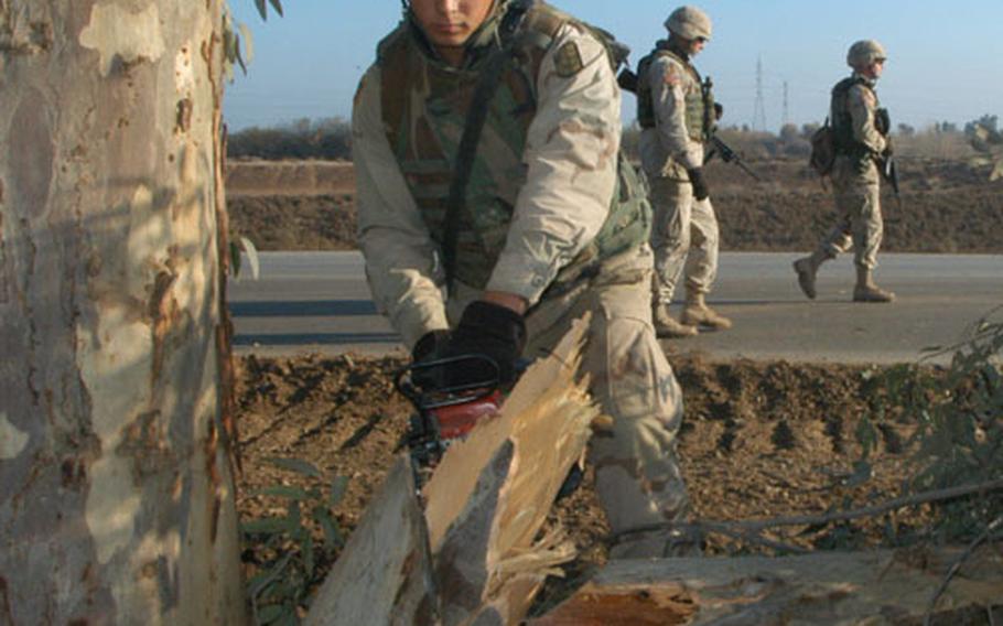Spc. Dusty Owens, 19, of Glenwood, Ark., sinks his chainsaw into a tree stump during road-clearing operations south of Samarra, Iraq.
