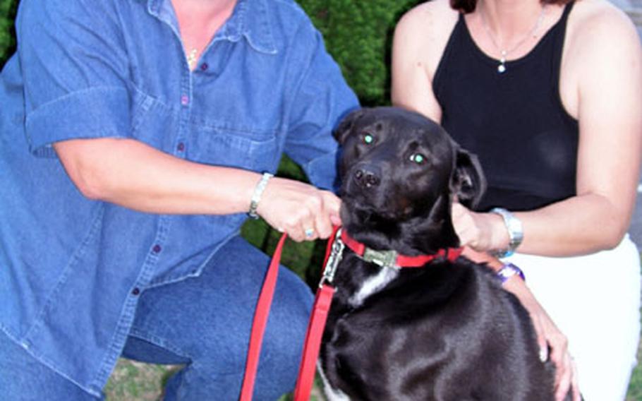 Jimi Parker, left, and Daisy Geiser, seen here with Parker's dog, Shiawase, are two of the six founders of the Okinawa Canine Club, established in May 2003. One of the club's major activities is to provide dog obedience classes to train dogs and their owners.