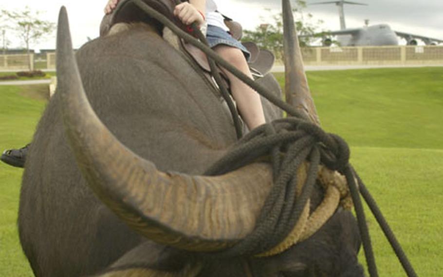 Ben Davis, a child from the Andersen Air Force Base Child Development Center, rides a carabao during a Fourth of July Freedom Festival at Andersen's heritage park.