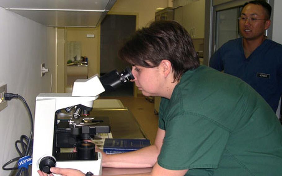 Dr. (Capt.) Jacque Parker, an Army veterinarian, looks through a microscope Wednesday at ear mites taken from the ear of a cat. Looking on is Sgt. Matthew Jepsen, a veterinary technician.