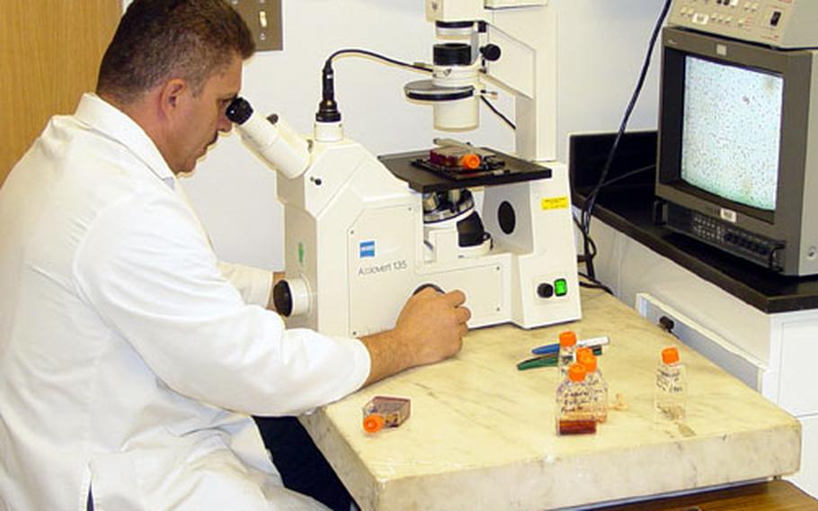 Laboratory technologist Juan Mendez examines , the parasite which causes leishmaniasis, in cultures under a microscope at Walter Reed Army Institute of Research in Silver Spring, Md.