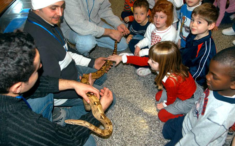 Kindergartner Breanna McDevitt, 5, shows no fear in reaching out to pet a boa constrictor Thursday, which was displayed for pupils at Naples Elementary School for Career Day.