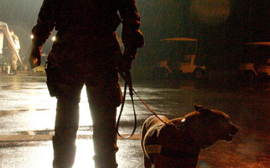 A U.S. Army Japan military police officer and his K-9 partner conduct a patrol in the pouring rain during an anti-terrorism exercise Thursday at Camp Zama, Japan.