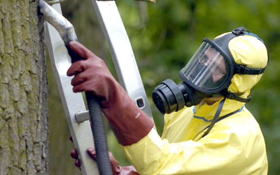 Peter Schwing from the Sticksel Pest Control Co. vacuums scores of procession caterpillars from a tree in Lincoln Village military family housing in Darmstadt, Germany, on Tuesday.