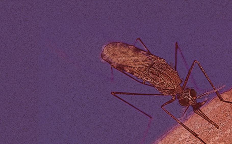 The U.S. military is waging constant war against the blood-sucking, malaria-carrying mosquito.
