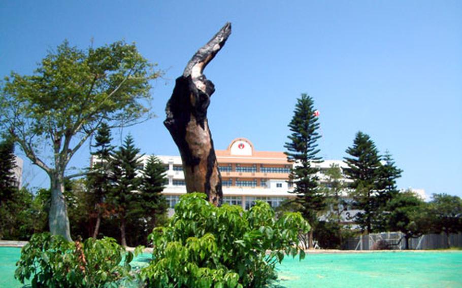 A blackened tree stump marks the spot where Okinawa International University’s administration building stood when it was struck by a Marine helicopter Aug. 13, 2004. No one was injured seriously in the accident, but the building was razed.