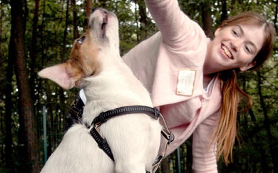 Dogs such as Harry, a Jack Russell terrier, could be treated next year at a new veterinary clinic being planned in Stuttgart, Germany. Destinie Carriger, 14, daughter of Charles and Deborah Carriger, was dog-sitting Harry on Friday for one of her dad’s co-workers.