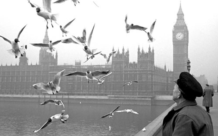 Snowey Tobin, at work and feeding some feathered friends on London's Westminster Bridge in March, 1964.