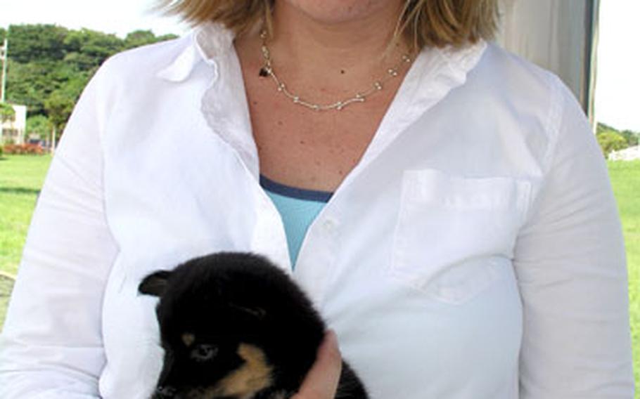 Sara Rodgers, a member of the Okinawa American Animal Rescue Society, holds her foster puppy, Baby.