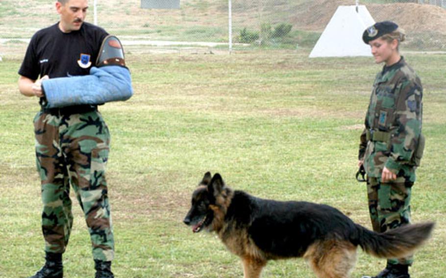 Staff Sgt. John Gravette, helps Staff Sgt. Jessica George and Zeureus, a 5-year-old German shepherd, train for a possible confrontation with a bad guy at the military working dog compound at Incirlik Air Base, Turkey. The dogs and their handlers are busy on base, helping search incoming trucks.