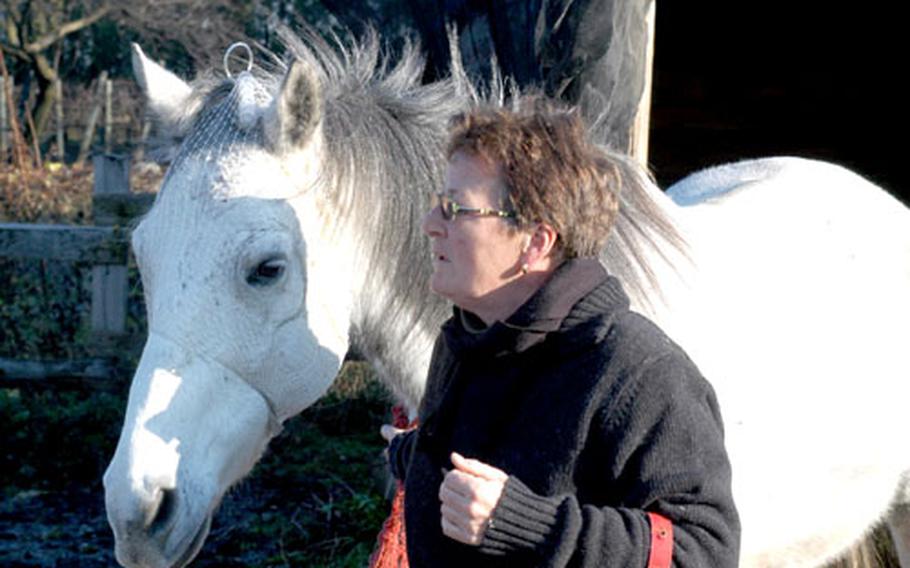Evelyne Zedan talks to Beauty, a horse she rescued in November that needed surgery on its eye and mouth. The horse has put on more than 50 pounds since coming to the Zedan Ranch near Aviano Air Base.