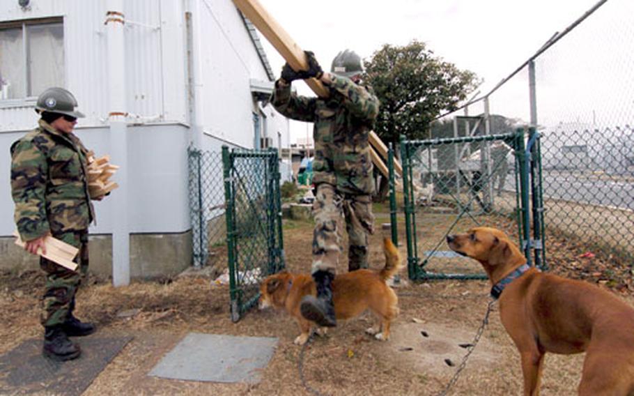 Equipment Operator Seabee Raymie Huddleston, left, and Petty Officer 2nd Class Matthew Kreamalmyer carry wooden stakes and step carefully around — and over — dogs while helping build a kennel for a local pet shelter on Yokosuka Naval Base, Japan, on Wednesday.