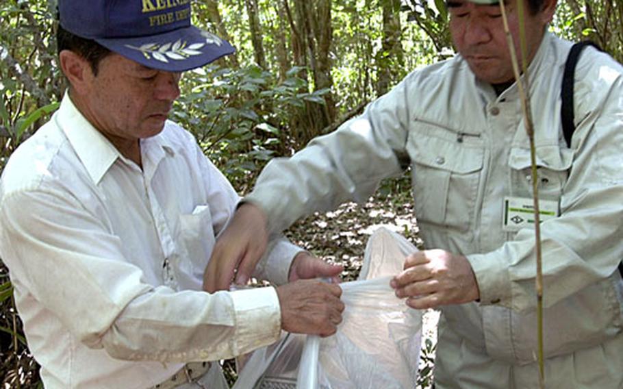 Akiro Teruya and Satoru Nohara, contractors working for the Marine Corps Camp Butler Environmental Office, bag a trapped mongoose at the Jungle Warfare Training Center on Thursday.