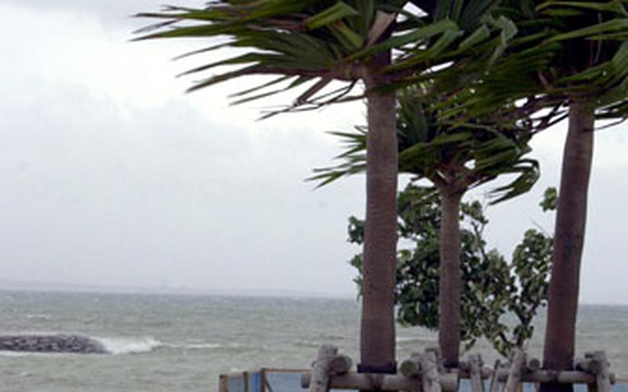 Trees bend in the wind and surf crashes against the shore at Uken Beach near Camp Courtney, Okinawa, on Saturday as Typhoon Ewiniar rolls in.