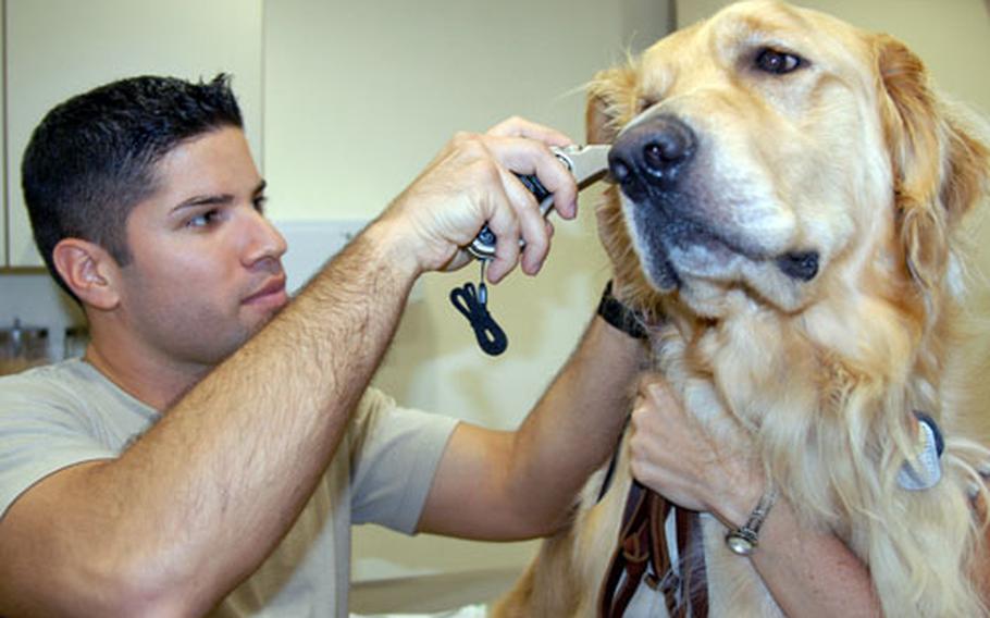 Army Spc. Ruben Martinez checks Bear’s vital signs Wednesday at Misawa Air Base’s veterinary clinic in northern Japan. Pet owners at Misawa, especially those with large dogs, may face a more expensive and challenging permanent-change-of-station move if the Patriot Express pulls out of Misawa this fall.