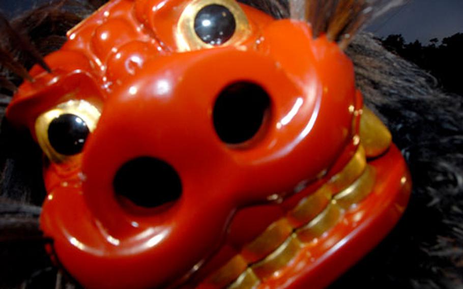 A shishi, or lion, gets ready to “bite” during a performance Sunday night at the Lion Dance Festival in Uruma. Getting a playful bite from a shishi is considered good luck and is coveted by audience members.