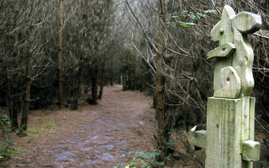 A sign in the shape of a giant wooden squirrel points toward a children’s play area along the Squirrel Maze inside the Thetford Forest.